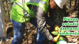 DIAGNÓSTICO AMBIENTAL