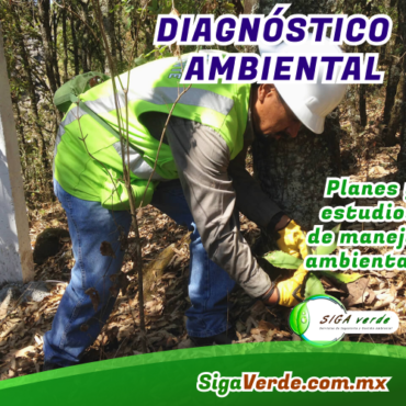 DIAGNÓSTICO AMBIENTAL