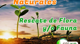 Recursos naturales