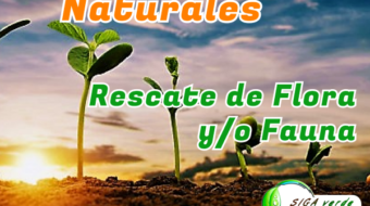 Recursos naturales