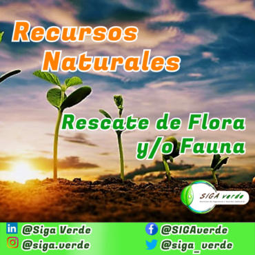 Recursos naturales