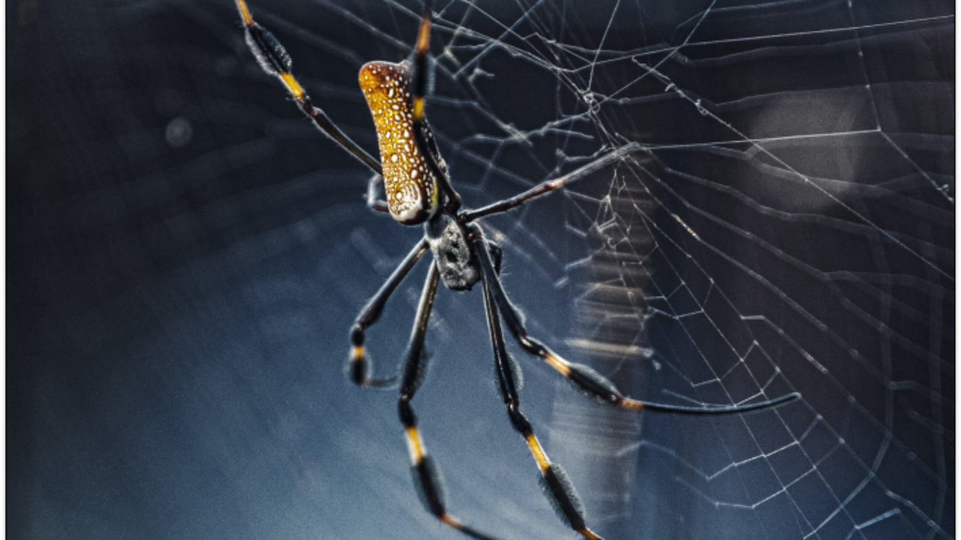 fabian-michel-NcH5I25xuX4-unsplash 1