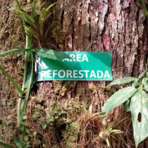 AF1QipMDE9H8K82_G7b3caBZ0fioAFO55T1qjGBUWZal=s483-k-no