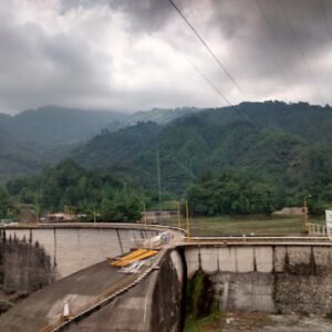 AF1QipNy8k--rVetC_vw-vl8X8HAf01qZKa0X_plcIMn=s483-k-no