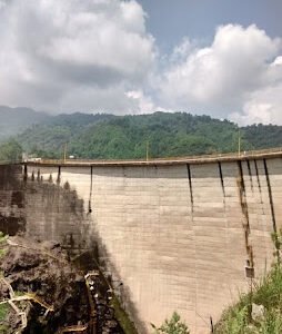 AF1QipOO0oJqapuHYlWzb-YA8ex52HTio2-f3IjYqsAw=w254-h338-k-no