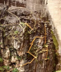 AF1QipP_JtzSP0QnQPGYYtRvNUWGojKduzi_ws6addoY=w254-h338-k-no