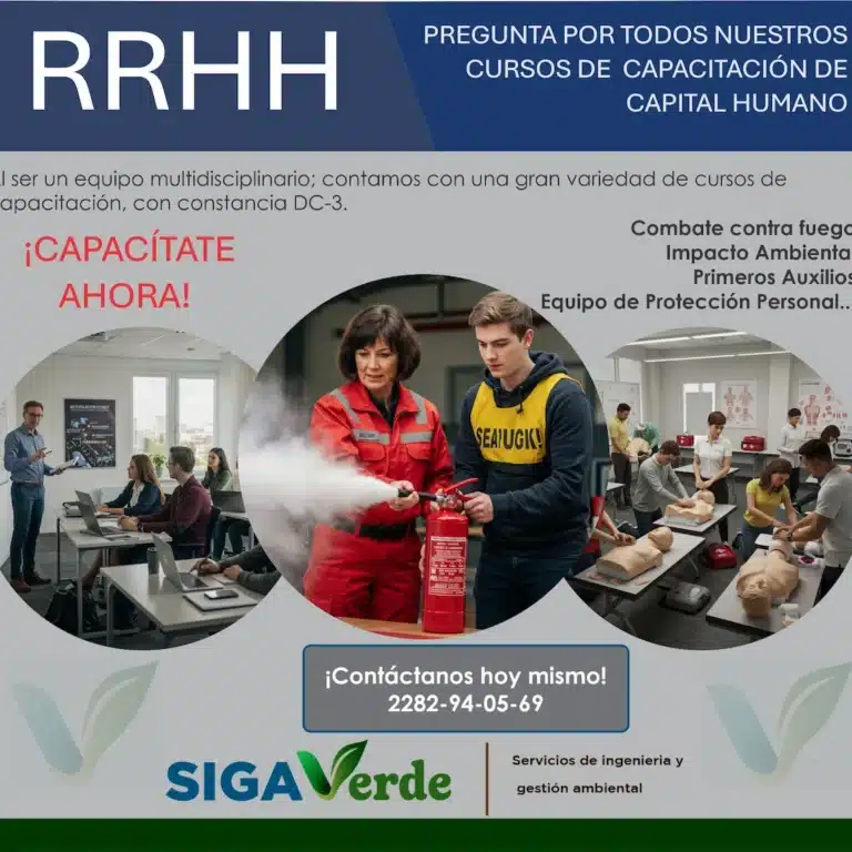 WhatsApp Image 2025-05-19 at 11.39.34 AM