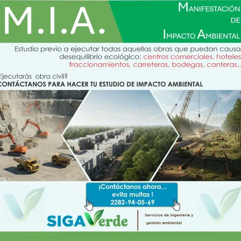 WhatsApp Image 2025-05-19 at 11.39.35 AM (1)