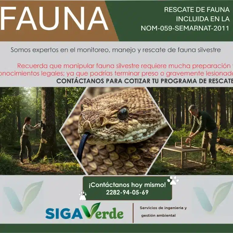 WhatsApp Image 2025-05-19 at 11.39.35 AM