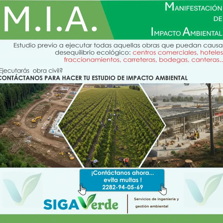 WhatsApp Image 2025-05-19 at 11.39.36 AM