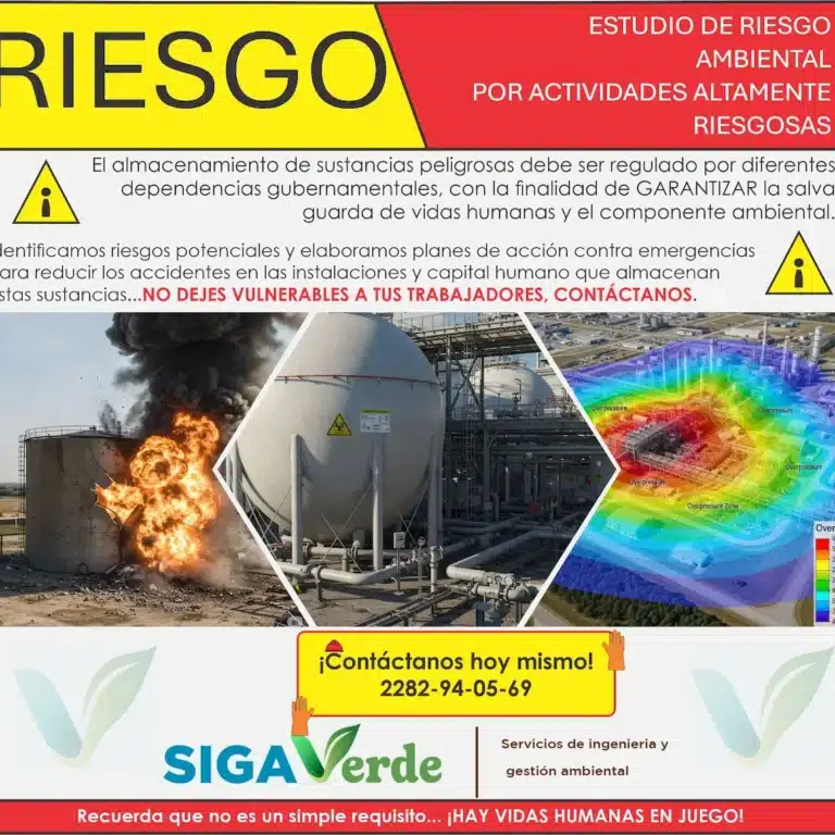 WhatsApp Image 2025-05-19 at 11.39.42 AM (1)