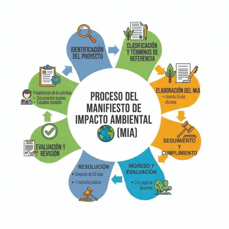 Proceso de Manifestación de Impacto Ambiental en México